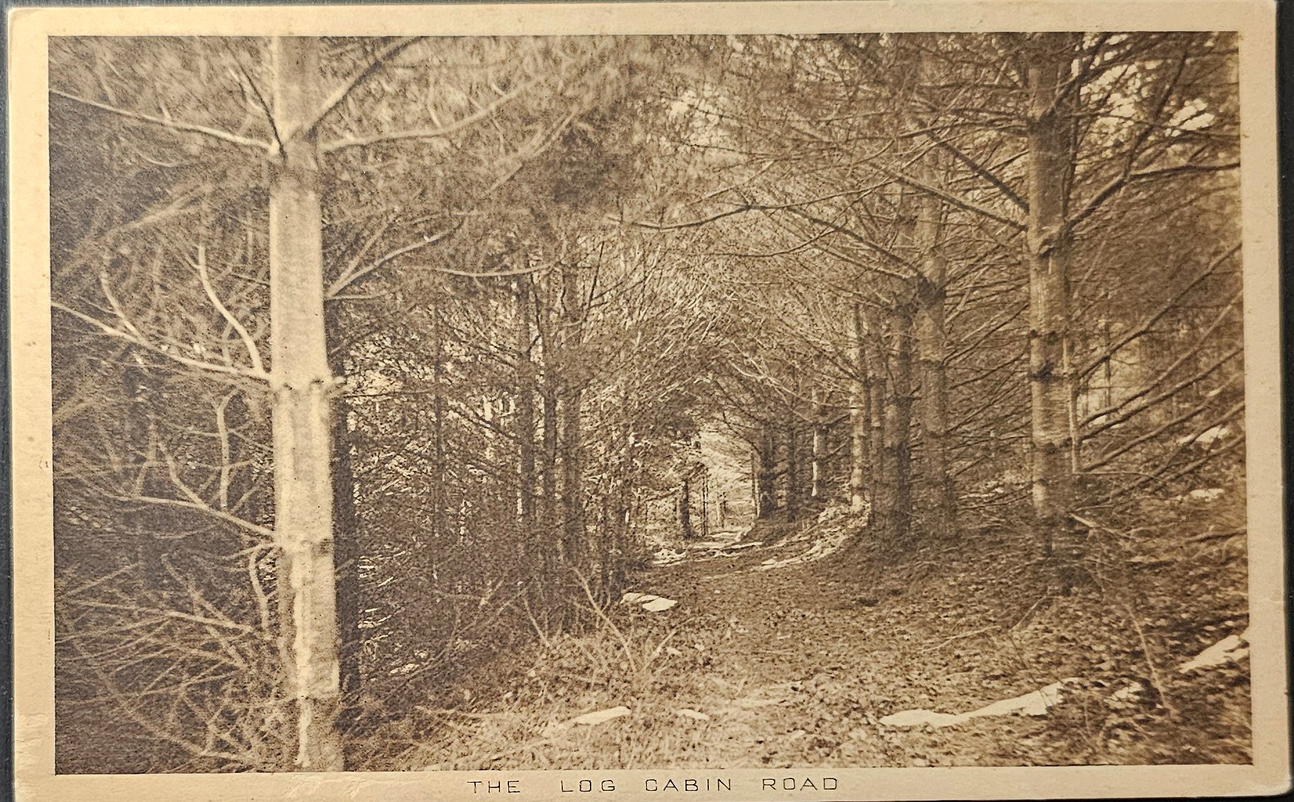 (image for) postcard USA - undefined #0001